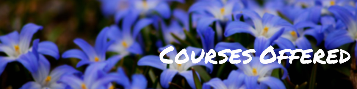 OSS Student Courses